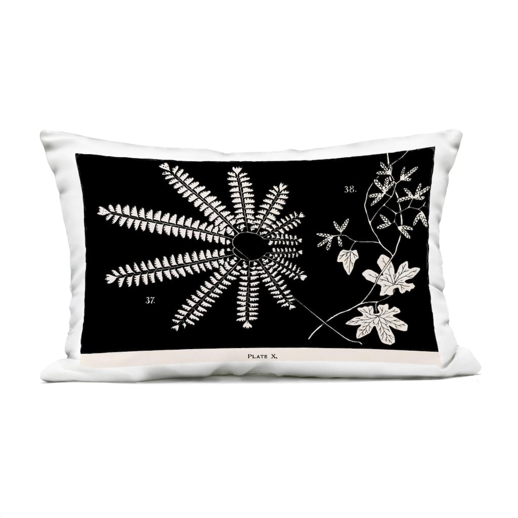 Stupell Ferns & Leaves on Black Printed Outdoor Throw Pillow Design by Phillipa Katz