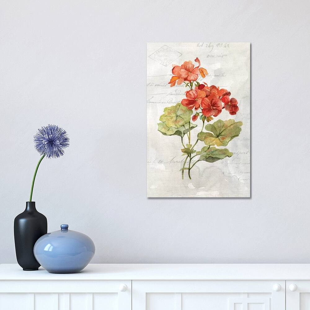 iCanvas "Linen Geranium" by Carol Robinson Canvas Print