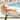 Jaxx Prado Patio Bean Bag Lounge