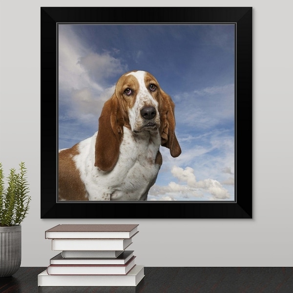 "Basset Hound Portait" Black Framed Print