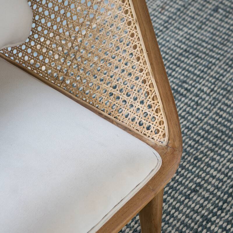 Modern Tectona Teak Leisure Chair