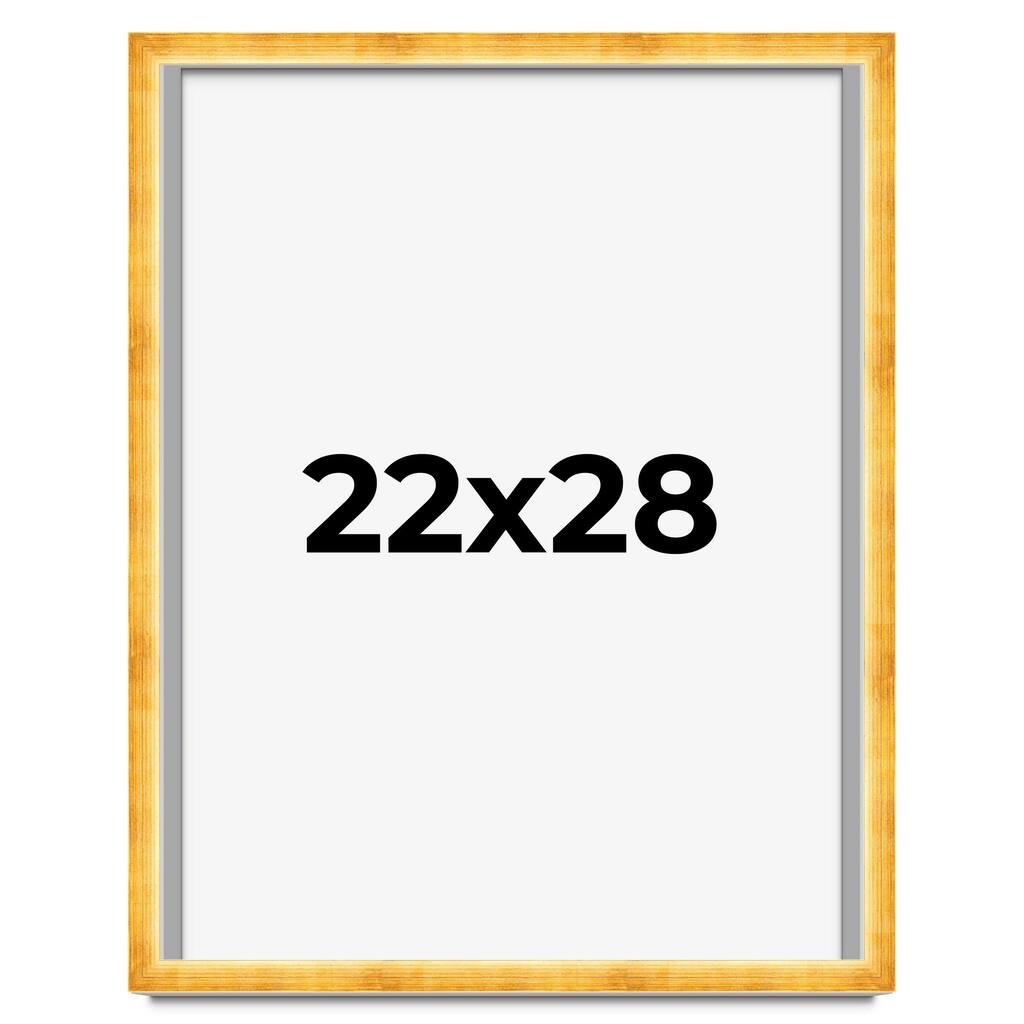 22x28 Shadow Box Frame Gold Real Wood Traditional Shadowbox Display Frame UV Acrylic Front Acid Free Backing and Hardware