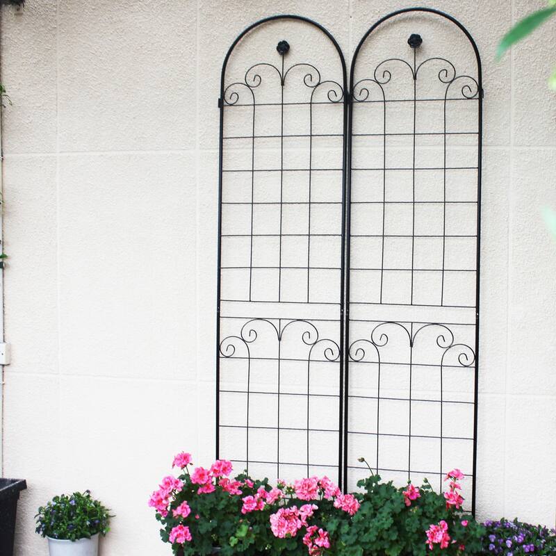 4 Pack Metal Garden Trellis for Climbing Plants Outdoor Rustproof Plant Support Rose Trellis Netting Trellis Black
