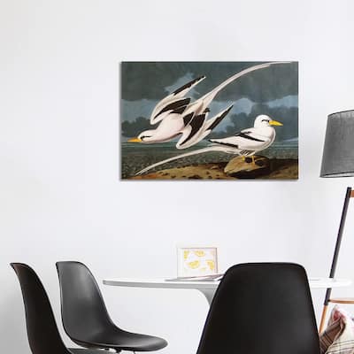 iCanvas "Tropic Bird plate CCLXII from 'The Birds of America'" by John James Audubon Canvas Print