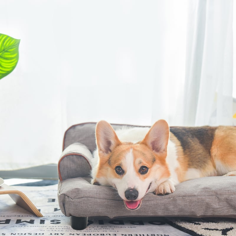 K1 2-in-1 All Seasons Dog Sofa Wickman