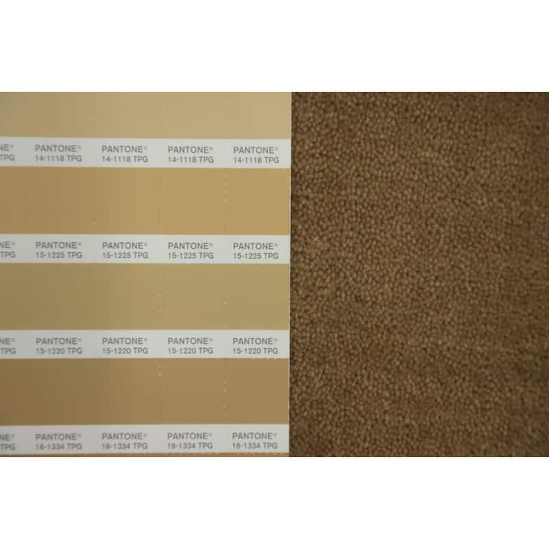 Hand Knotted Oriental 100% Wool Carpet Tribal Animal Pictorial Brown Gabbeh Area Rug - 8' 2'' X 5' 0''
