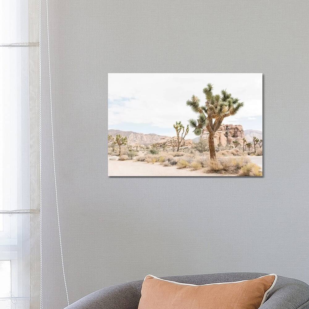 iCanvas "Joshua Tree, Mohave Desert" by lovelylittlehomeco Canvas Print