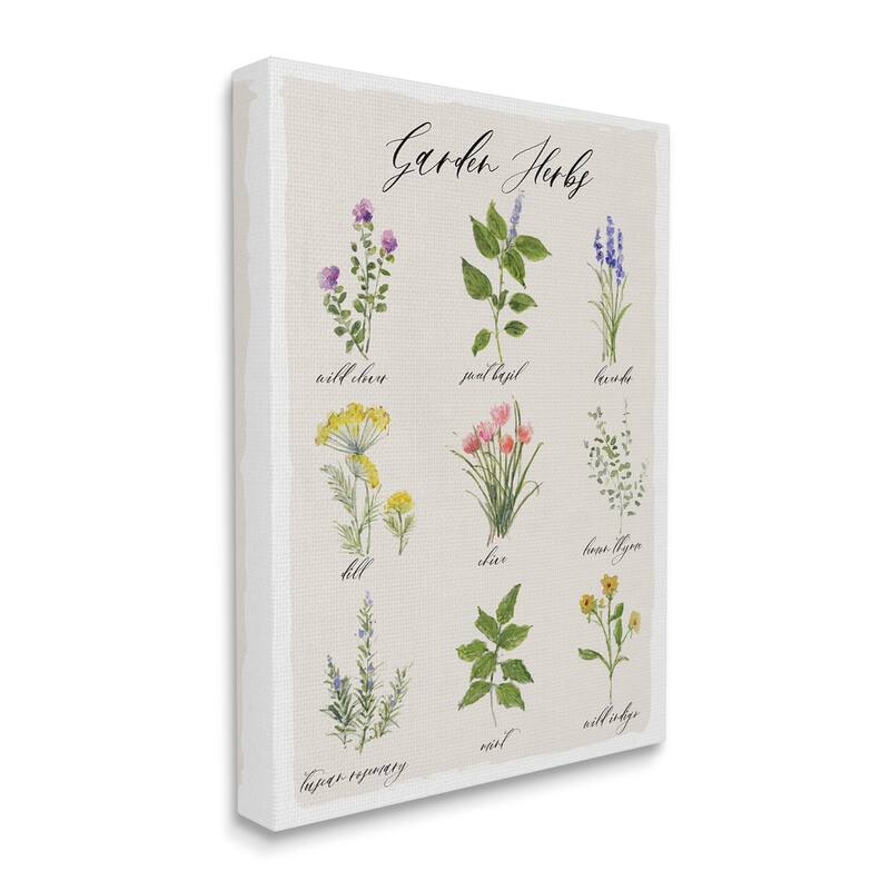 Stupell Garden Herb Illustrated Chart Natural Kitchen Seasoning Canvas Wall Art - Multi-Color
