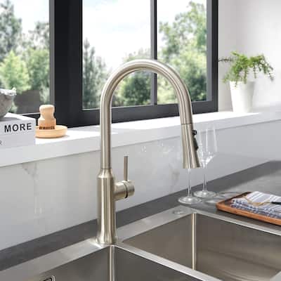 Oribe Single-Handle Kitchen Faucet with Pull Down Sprayer - 10"x18"