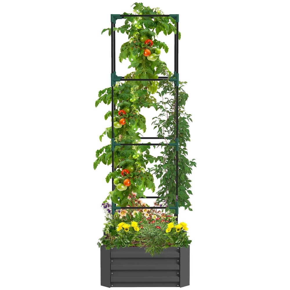 Galvanized Raised Garden Bed, 24" x 24" x 11.75" Outdoor Planter Box with Trellis Tomato Cage and Open Bottom for Climbing Vines