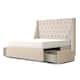 Option Ivory