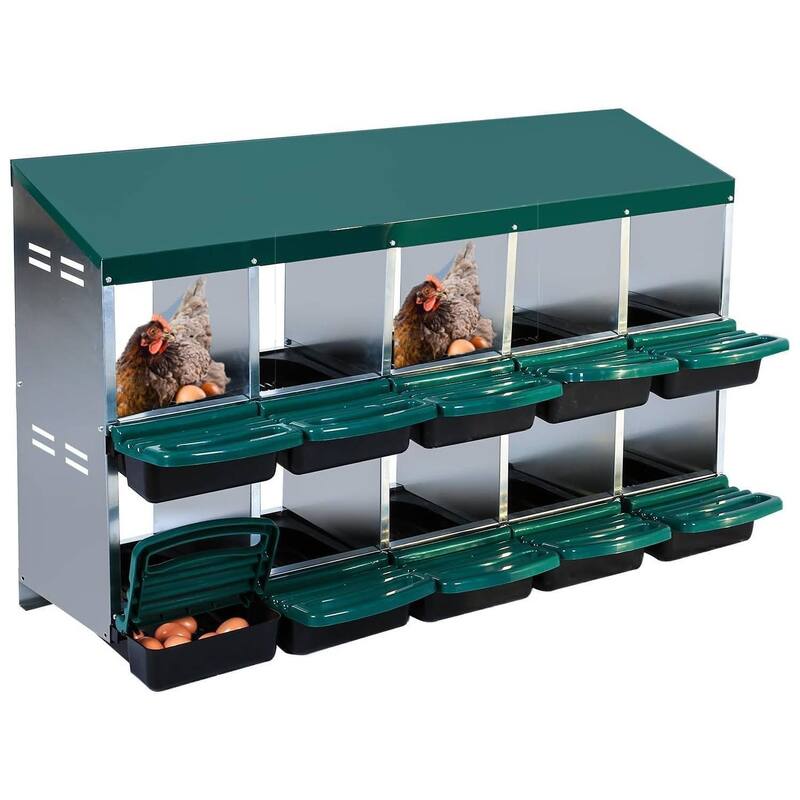 Chicken Nesting Boxes with Rollout Egg Collection - Green 10 Compartments