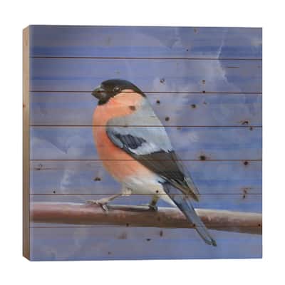 Bull Finch Study Print On Wood by Thomas Little - Multi-Color