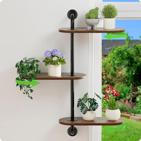 cocktail plant online kaufen Cocktail Giftable Garden – Gardenuity
