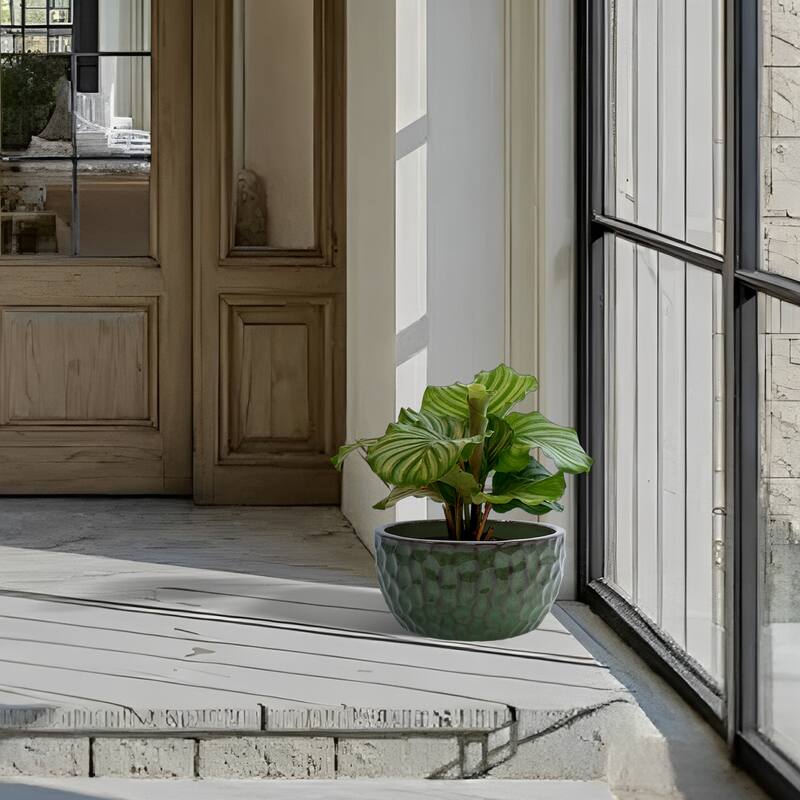 Ceramic Pots in Cobalt Blue Violets and Herbs with Breathable Design