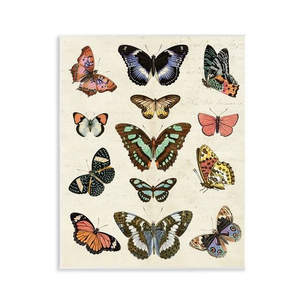 Stupell Vintage Butterfly Breeds Wall Plaque Art Design By Susan Arnot ...
