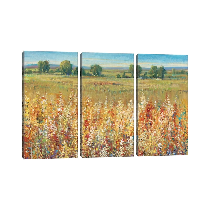 iCanvas "Gold and Red Field I" by Tim OToole 3-Piece Canvas Wall Art Set