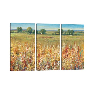 iCanvas "Gold and Red Field I" by Tim OToole 3-Piece Canvas Wall Art Set