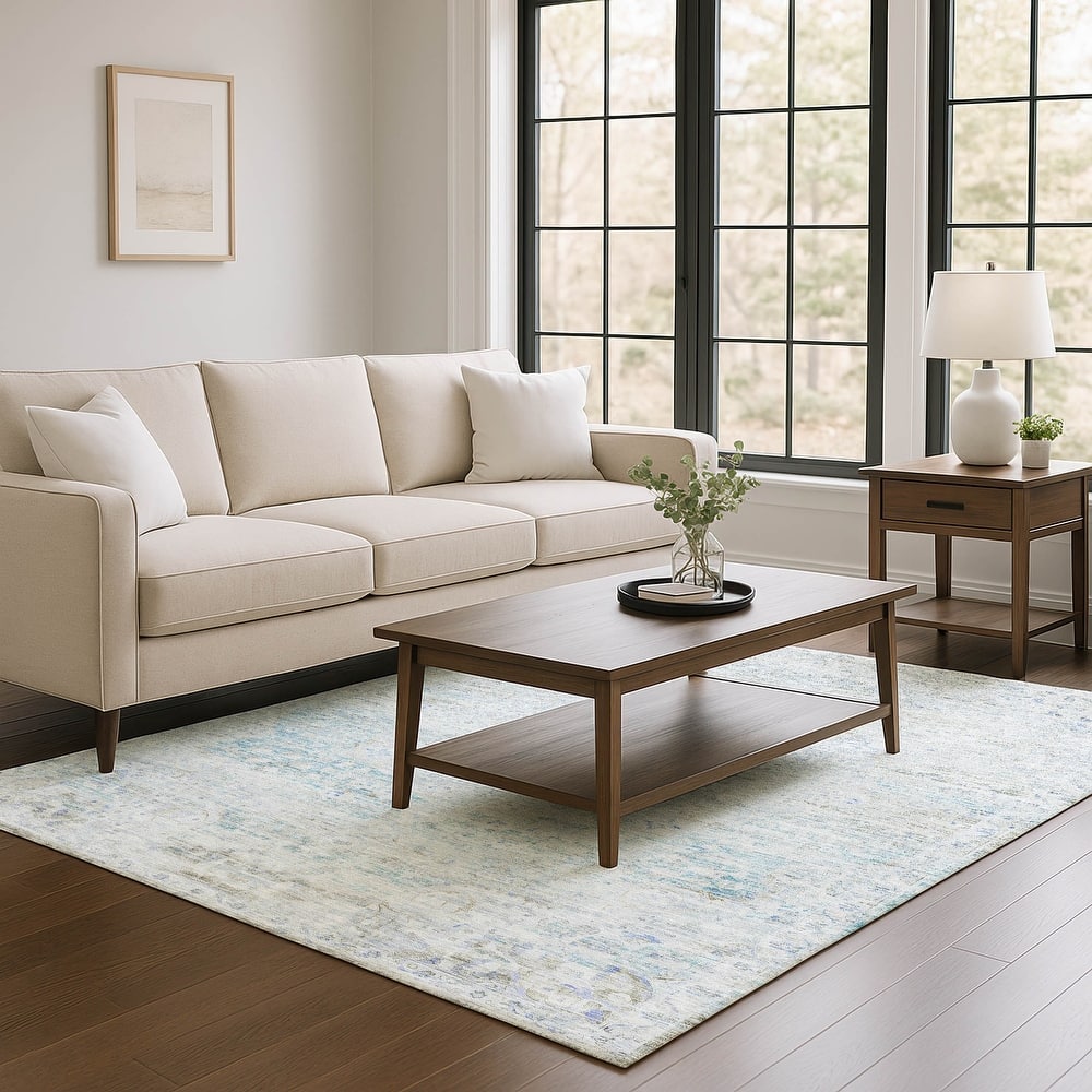 Premium Washable Super Soft Vintage Traditional Mayfield Rug