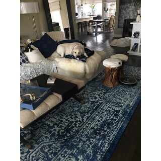 Safavieh Evoke Quinn Vintage Boho Medallion Distressed Rug