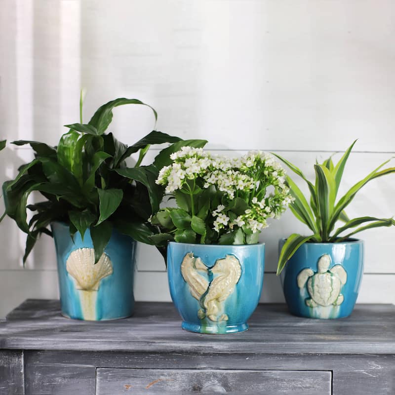 Euro Ceramica Grotto Aqua 7" Seahorse Planter - 7 in. x 6.75 in. x 6.5 in.