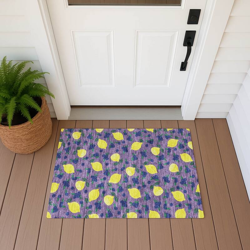 Machine Washable Indoor/ Outdoor Citrus Berry Chantille Rug - Lavender - 1'8" x 2'6"