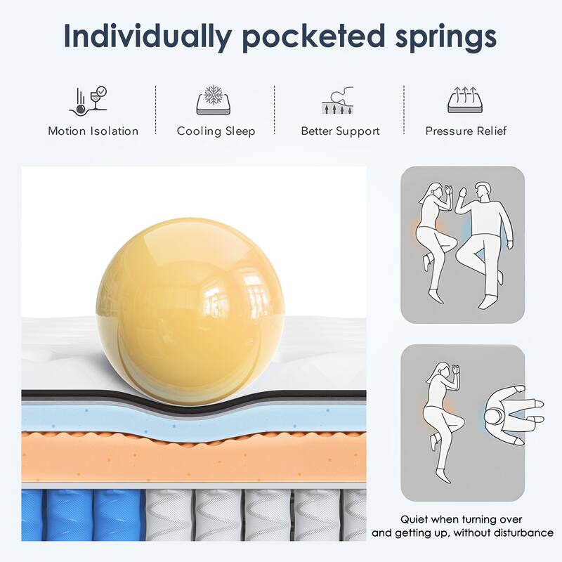 SogesSleep 10" Hybrid Mattress Pocketed Springs and Memory Foam