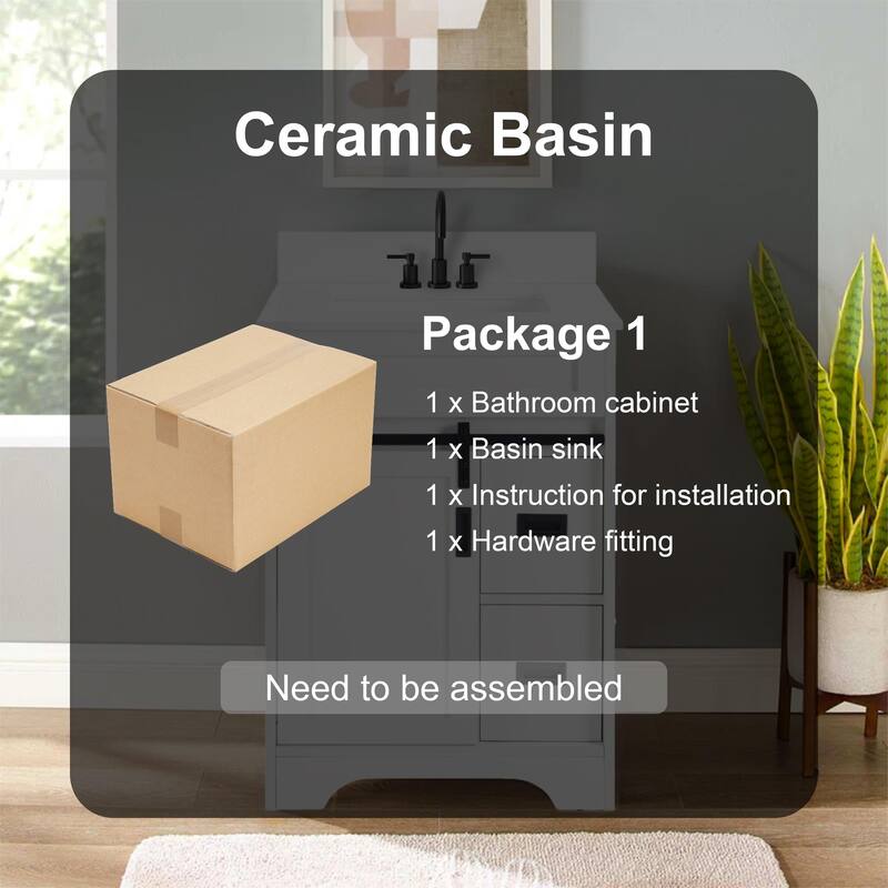 Homy Casa 24" Farmhouse Bathroom Vanity with Single Undermount Sink and Sliding Barn Doors