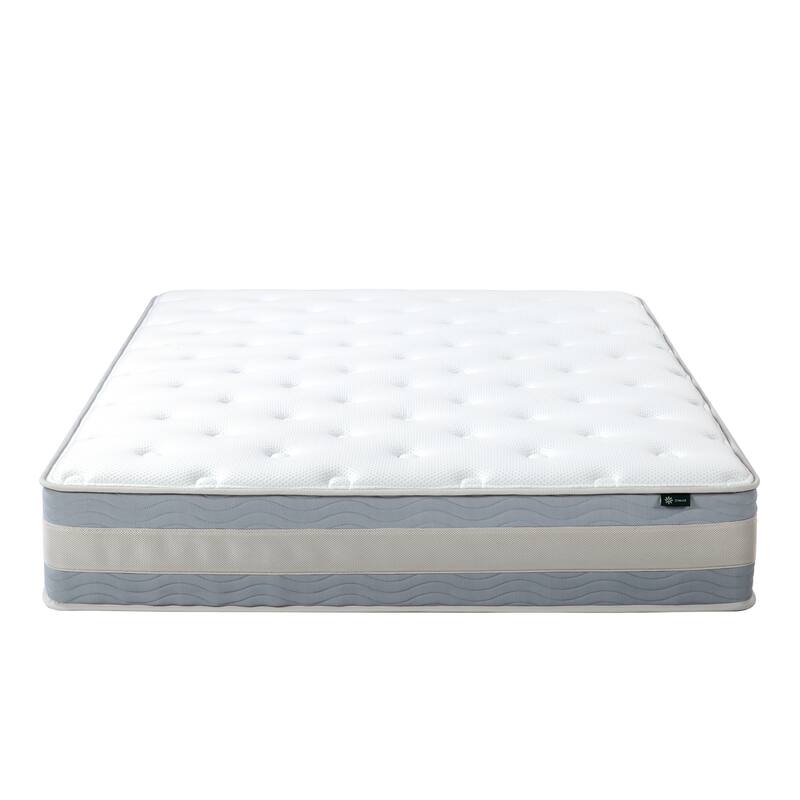 Priage by Zinus 12 Inch Gel-Infused Memory Foam Hybrid Mattress
