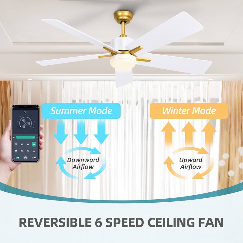 52 Inch Smart Ceiling Fan with Light Remote and APP Control