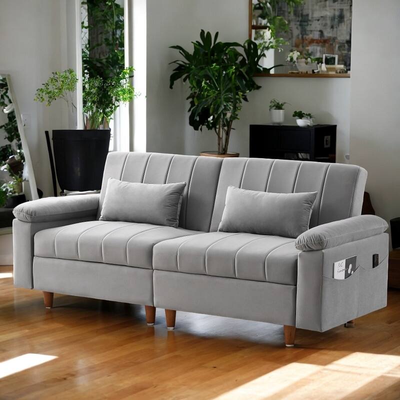 Modern 2-Seat Sleeper Sofa Couch, Grey
