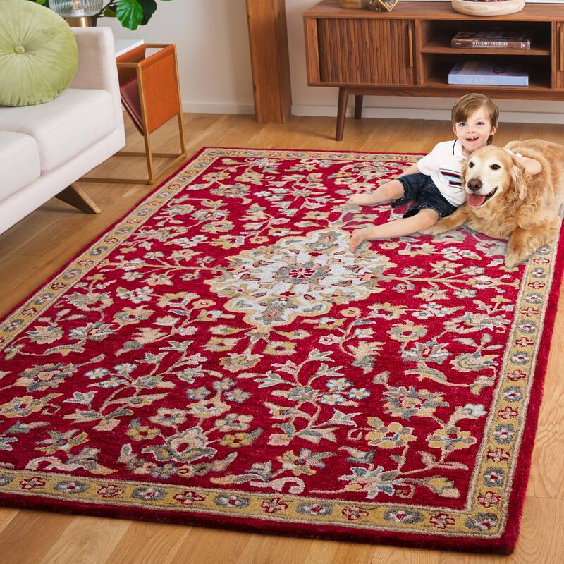 SAFAVIEH Handmade Blossom Arnlaug French Country Wool Rug - 8' x 10' - Red/Ivory