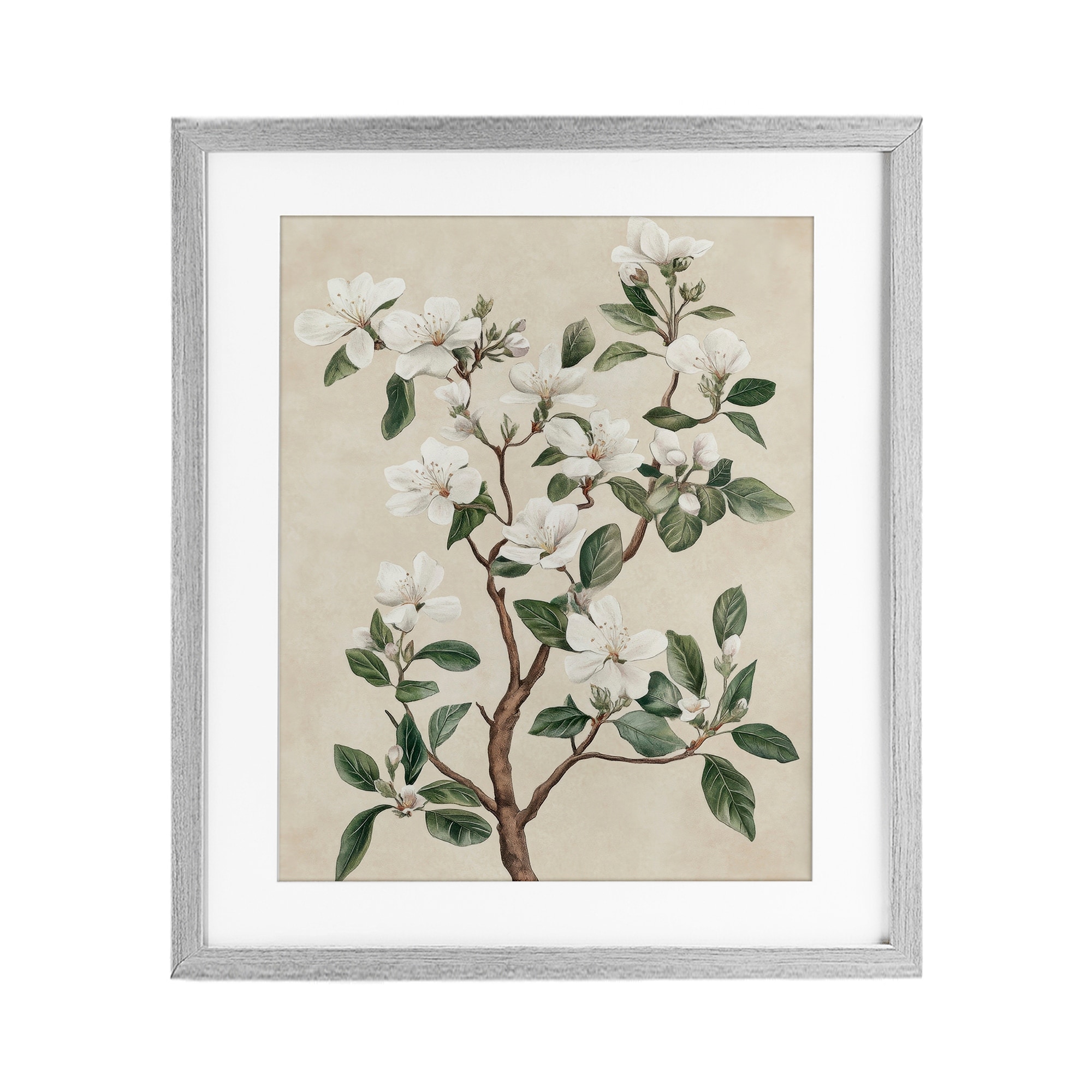 Stupell White Floral Blossom Tree Under Glass Framed Design By Petal Prints Design