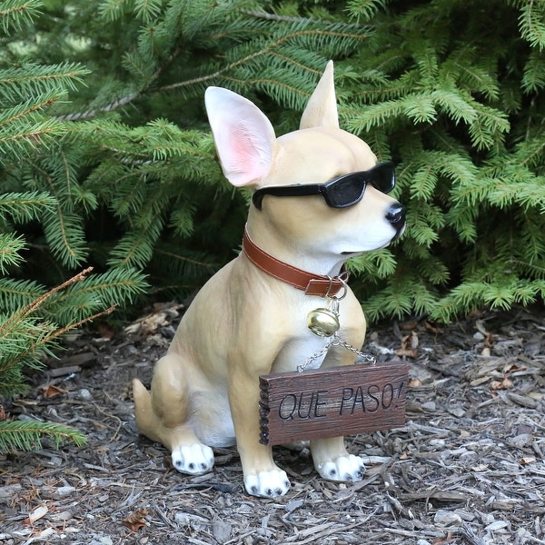 chihuahua wearing sunglasses