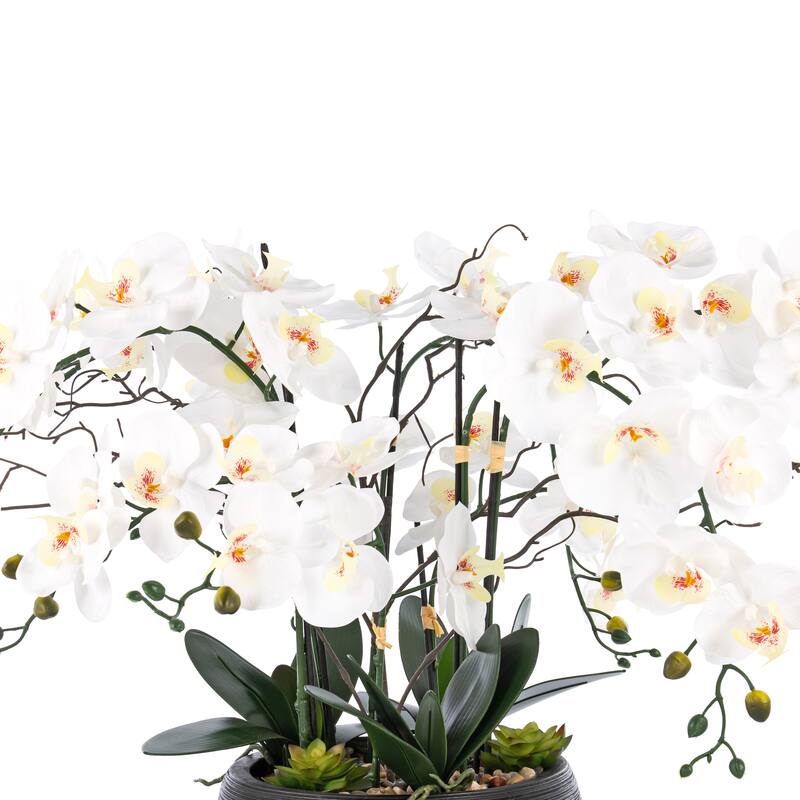 9 Stems Nearly Natural White Phalaenopsis Orchids with Succulents in White Magnesium Oxide Pot - 36.22" H x 35.43" W x 35.43" D