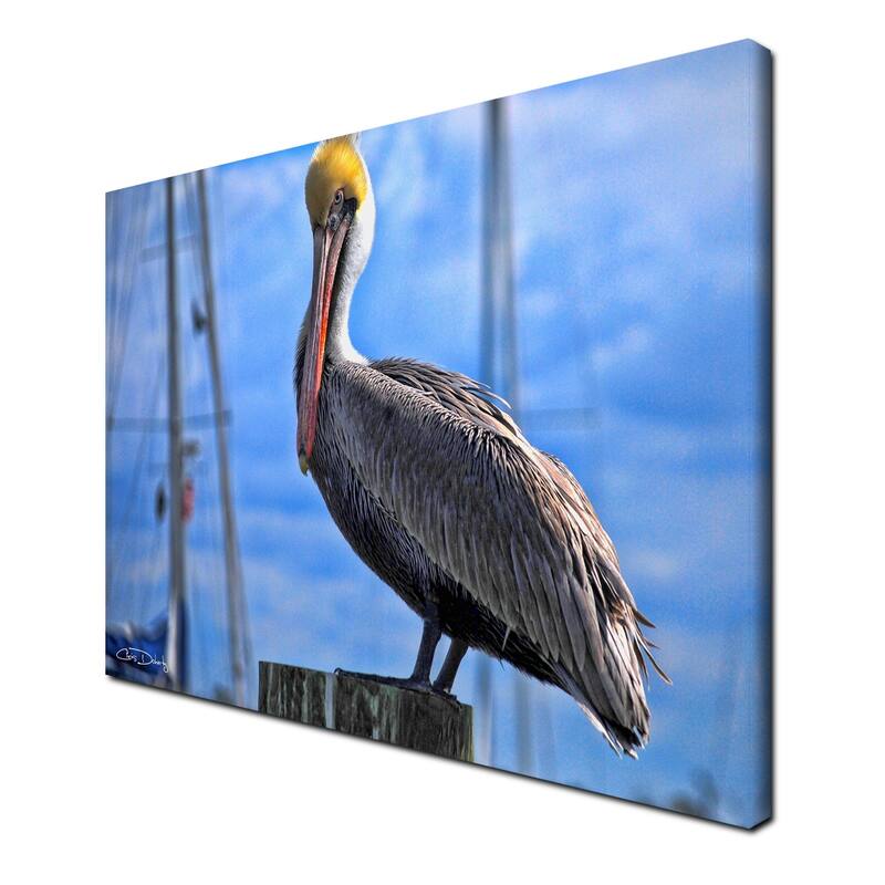 Ready2HangArt 'Pelican' Wrapped Canvas Wall Art
