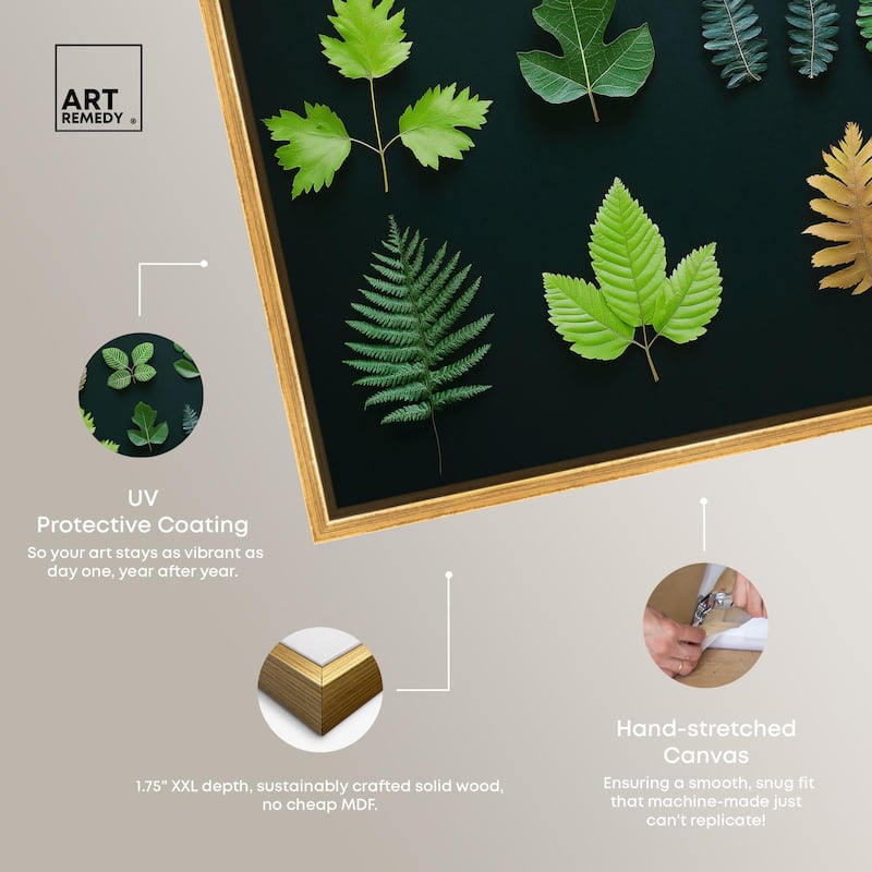 Leaf Library I Canvas by Art Remedy