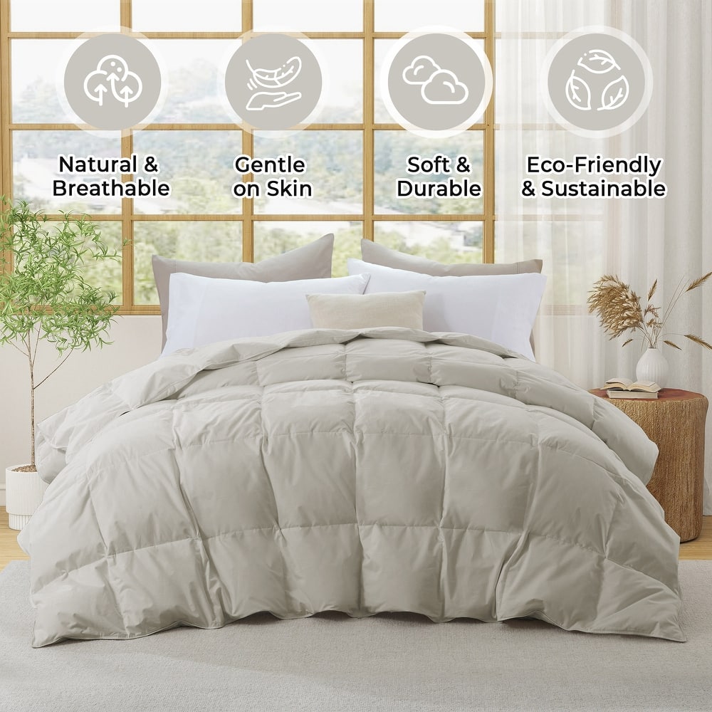Medium Warmth 300TC Organic Cotton Down Comforter - 100% Natural, Chemical-Free, All Season Duvet Insert