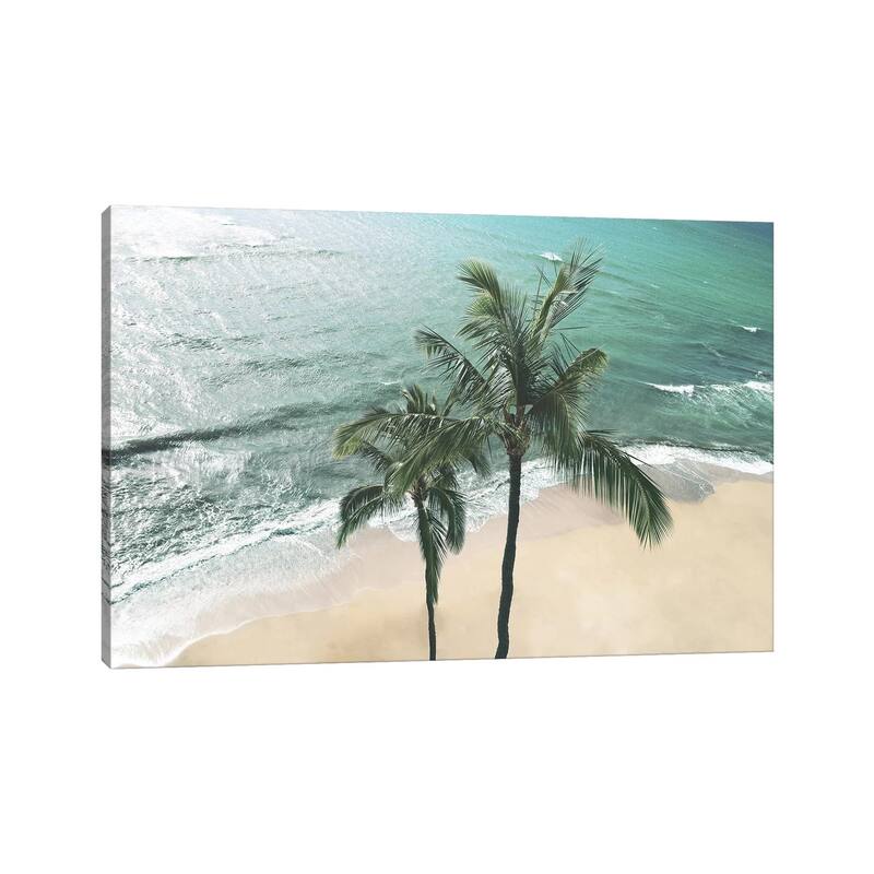 iCanvas "Maui Palm" by Natalie Carpentieri Canvas Print