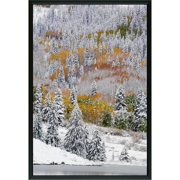 Shop Easy Art Prints Terry Eggers S Snow Covered Aspens And Firs