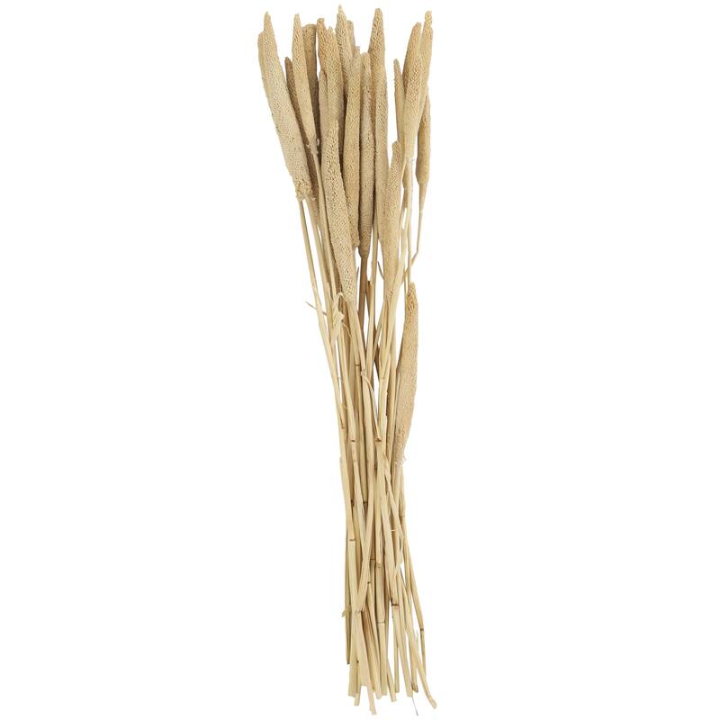 Dried Plant Bunny Tail Home Decor Natural Foliage - White, Red, Dark Brown, Orange, Green, Pink, Yellow - Roche River Decor - White