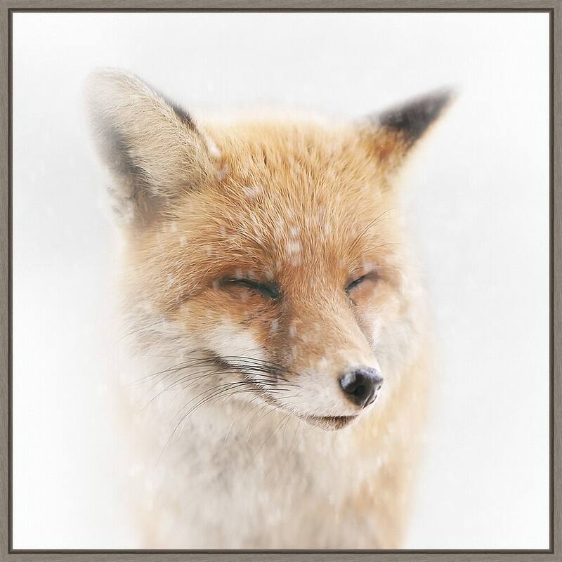 Satisfied Fox by Doris Reindl Framed Canvas Wall Art