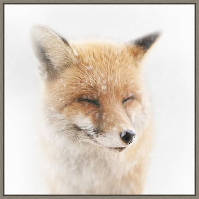 Satisfied Fox by Doris Reindl Framed Canvas Wall Art