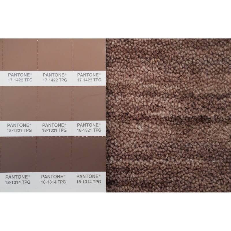 Hand Knotted Oriental 100% Wool Carpet Tribal Animal Pictorial Brown Gabbeh Area Rug - 7' 9'' X 5' 0''