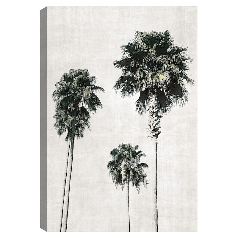 Sketchbook Palm by Natalie Carpentieri Canvas Art Print