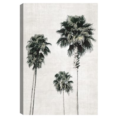 Sketchbook Palm by Natalie Carpentieri Canvas Art Print