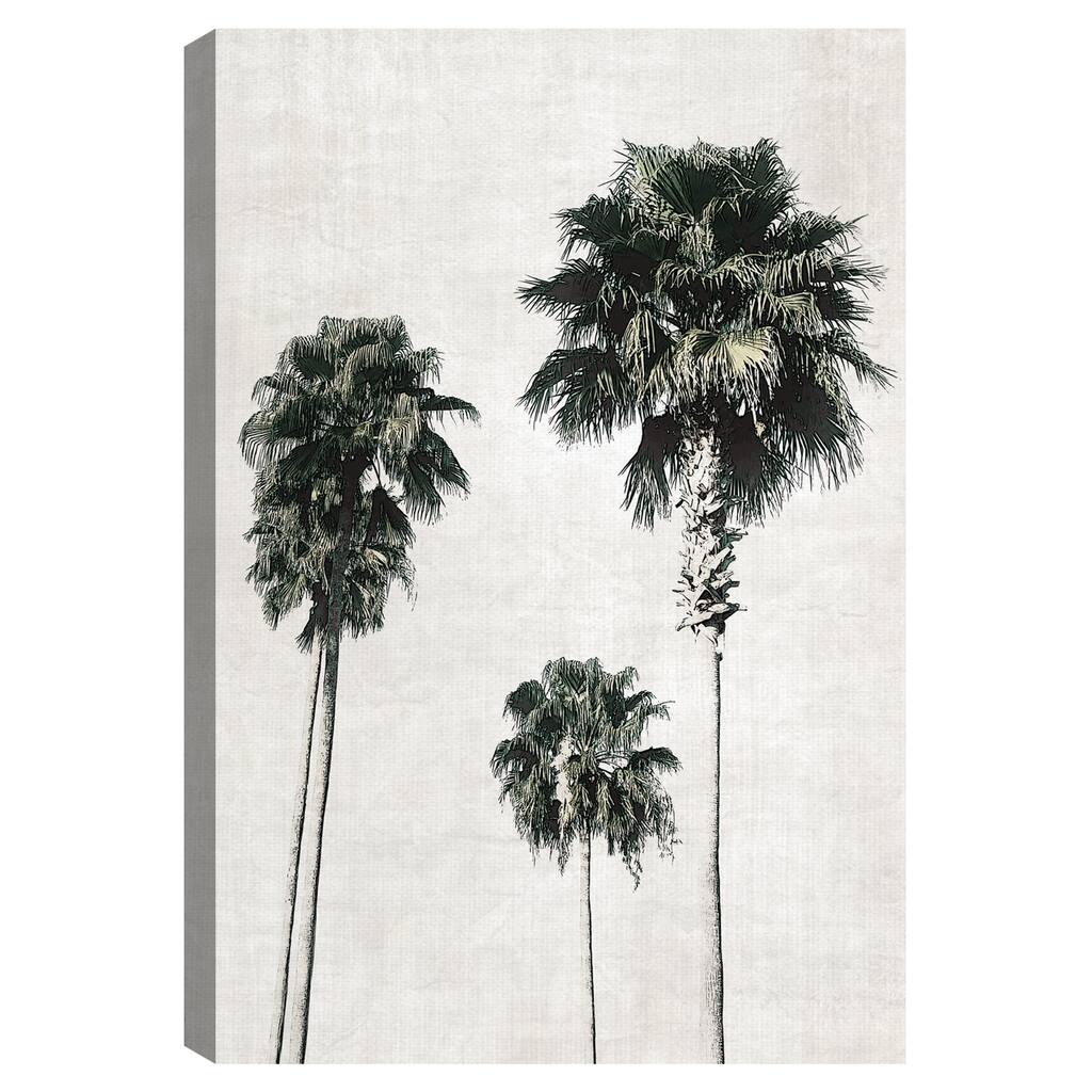 Sketchbook Palm by Natalie Carpentieri Canvas Art Print