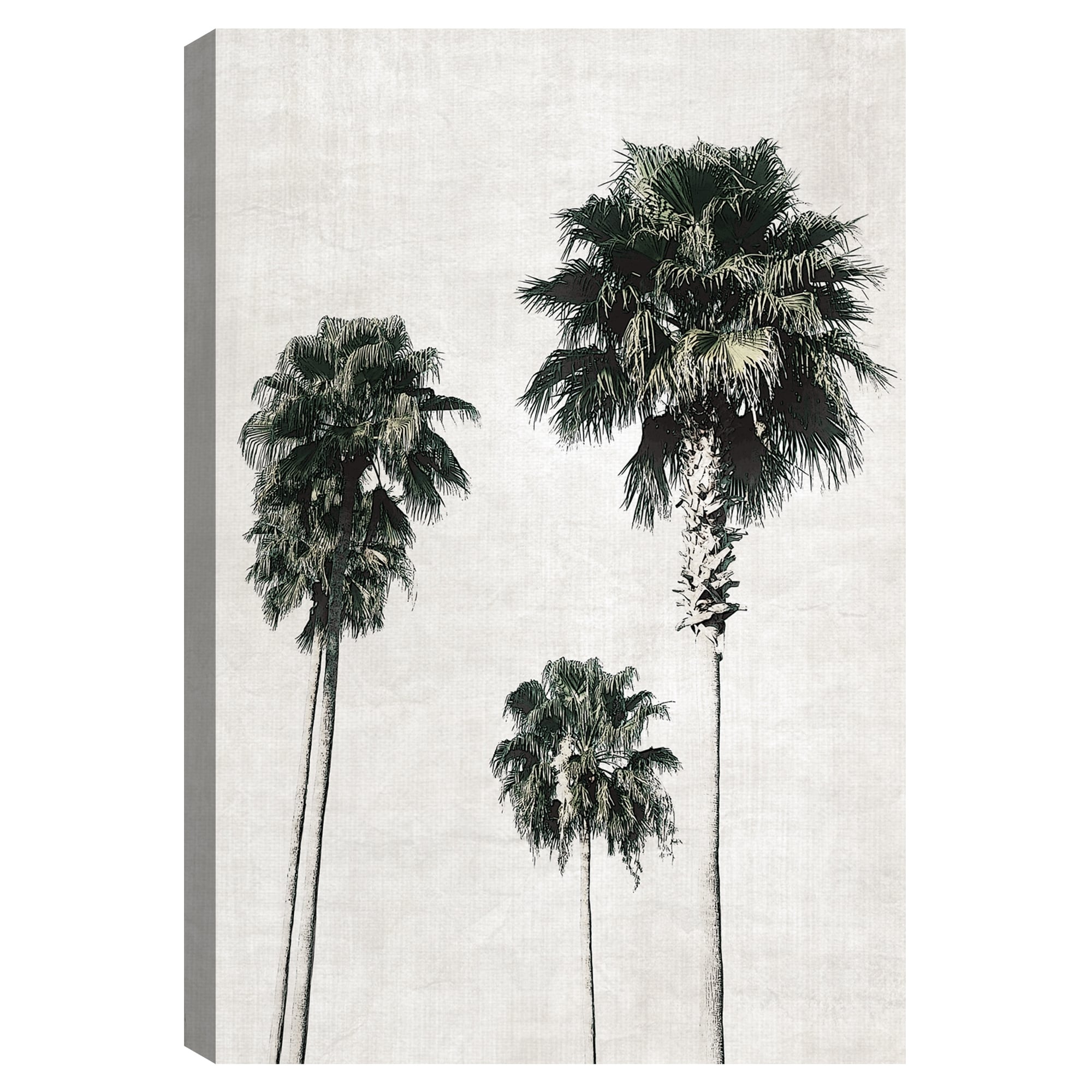 Sketchbook Palm by Natalie Carpentieri Canvas Art Print