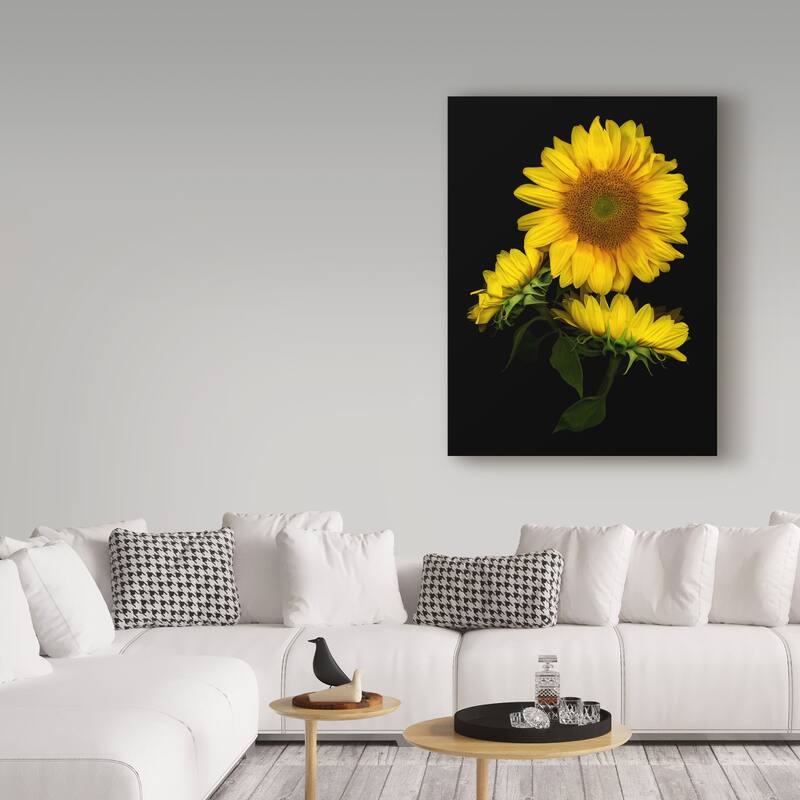 Susan S. Barmon 'Sunflower 3' Canvas Art