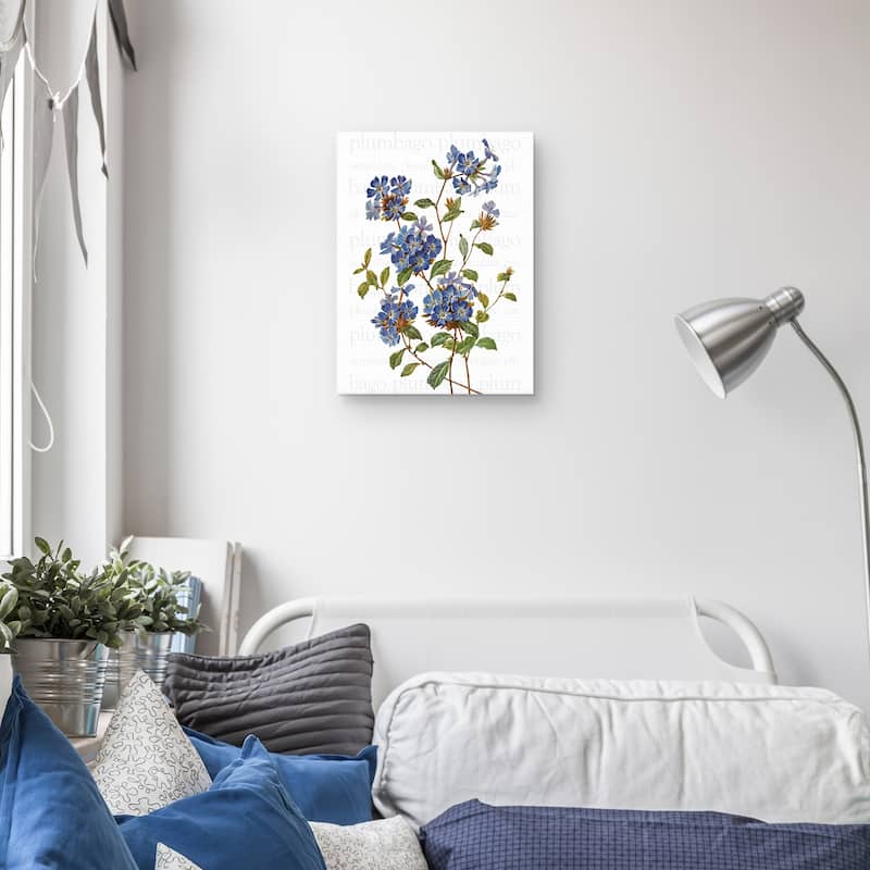 Chinese Plumbago Text Canvas Art Print